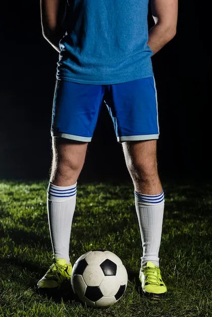 开云体育APP应用预览图